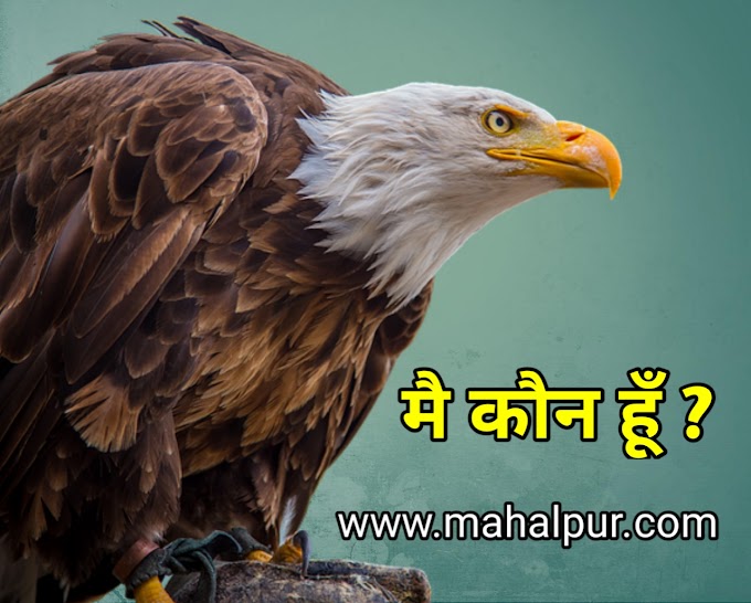 मै कौन हूँ ? (Story of eagle and chickens): Very Nice Story