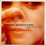 David Jones Esq - Hearts Will Fall