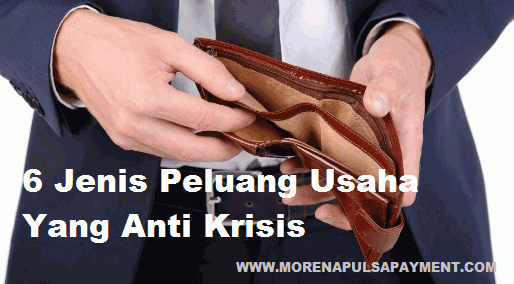 6 Jenis Peluang Usaha Yang Anti Krisis