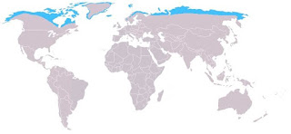 Kutup tilkisi yayılım haritası