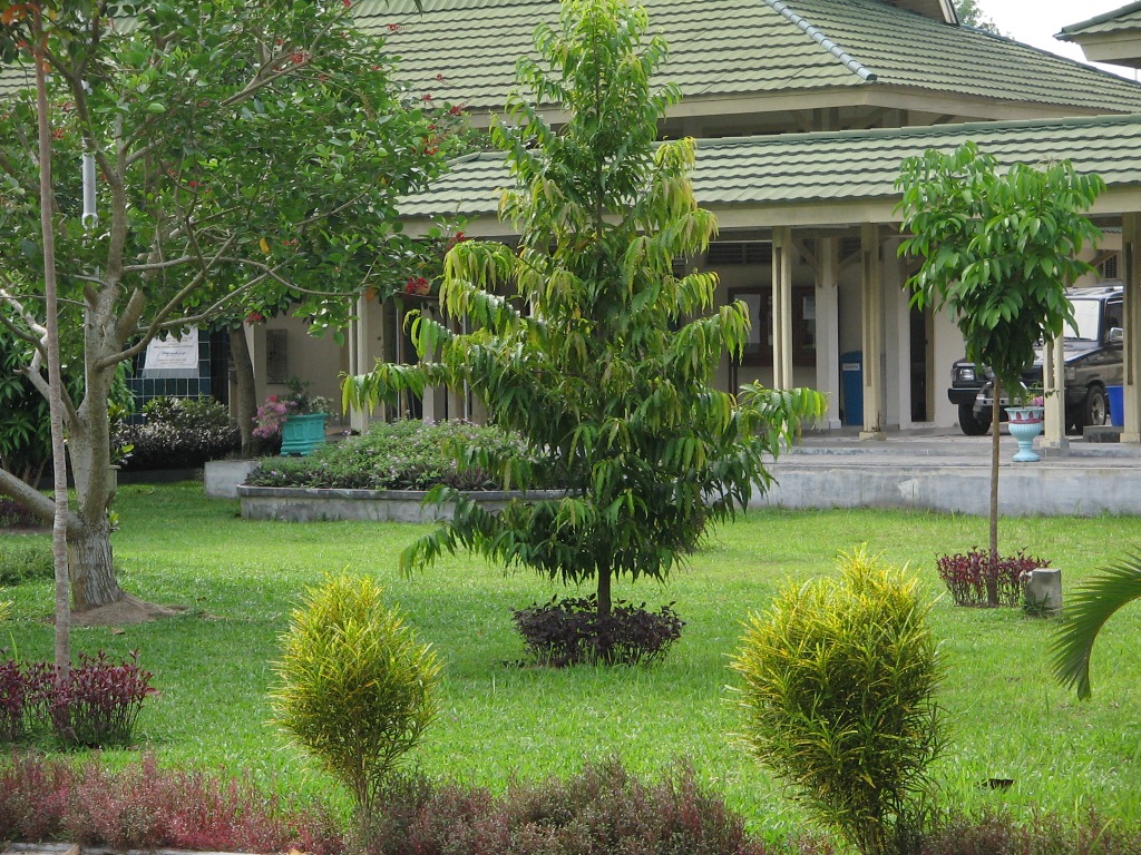 SMAN Plus Propinsi Riau | Fian Syauqi
