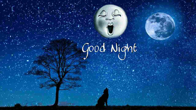 Best Good Night Images, Photos, Greetings and HD Pictures