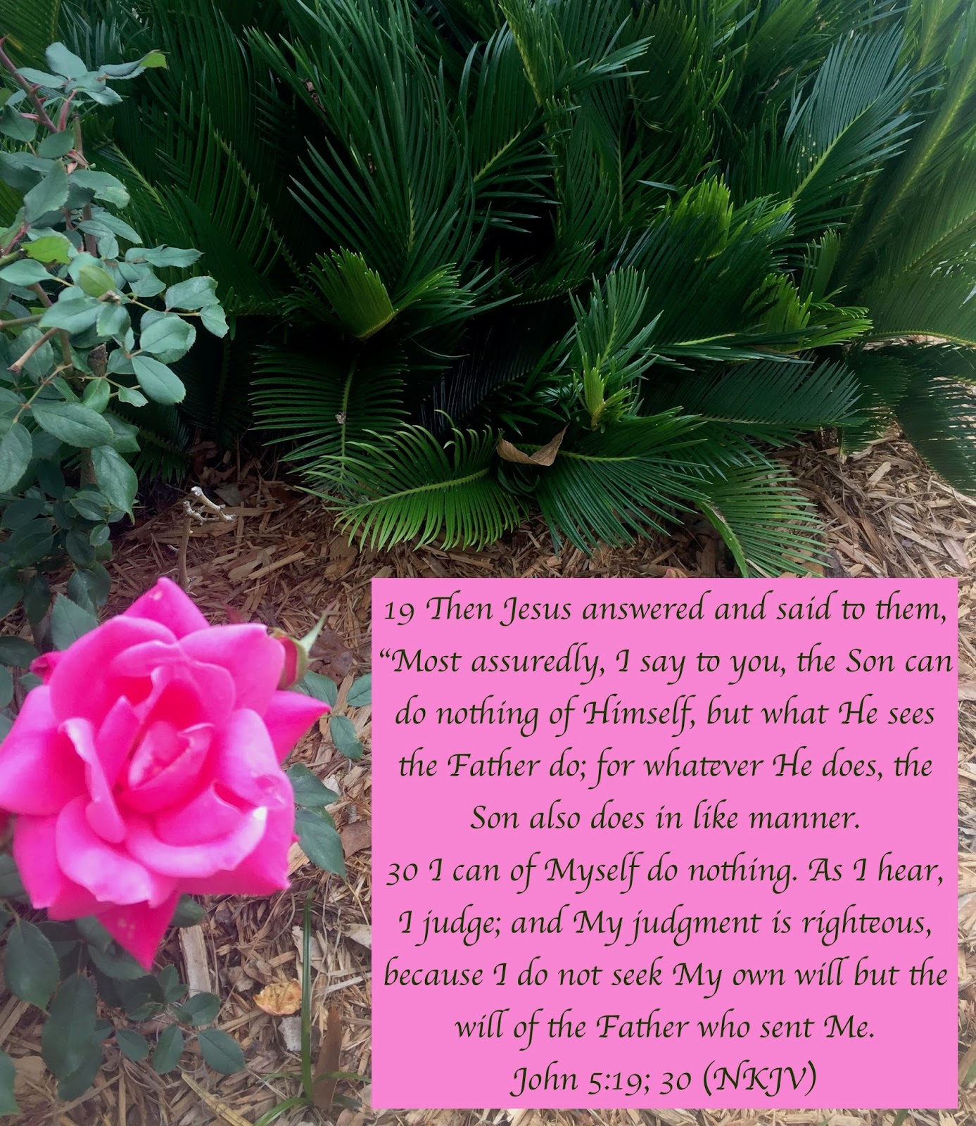 So We Pour Out Our Praise 39 - vbiw2bu