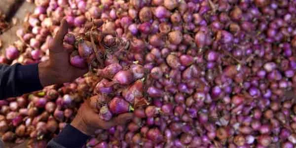News, Kerala, State, Ernakulam, Police, Case, Kochi, Merchant, Lorry Driver, Missing, Vegetable, Onion, Complaint, Kochi-bound lorry with Rs 22 lakh worth of onions goes missing