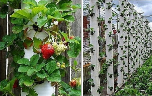 De Todo, Un Poco .: Inusual uso para los tubos de PVC