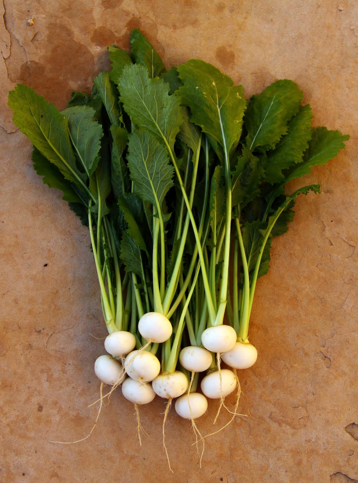 Michelle's Kitchen Notebook Braised Baby Turnips and Carrots