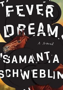 Fever Dream by Samanta Schweblin