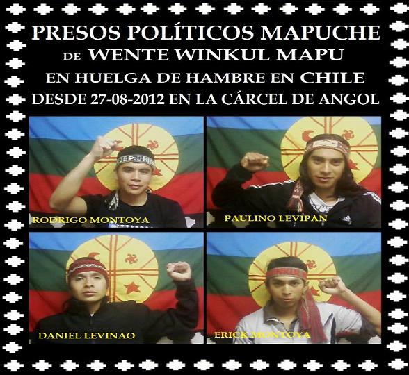 huelga de hambre presos politicos mapuche en angol-2012