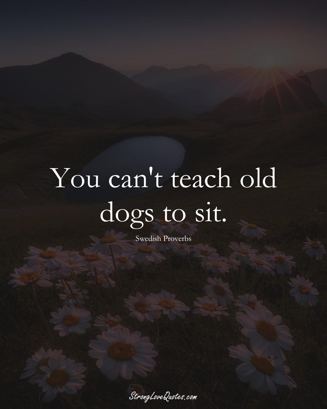 You can't teach old dogs to sit. (Swedish Sayings);  #EuropeanSayings