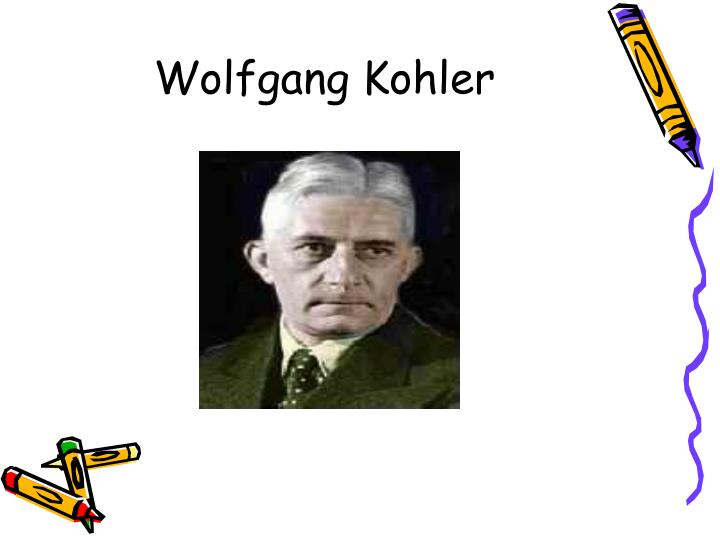 VIDYA'S PHOENIX PSYCHOLOGY OF TEACHING AND LEARNING INSIGHTFUL