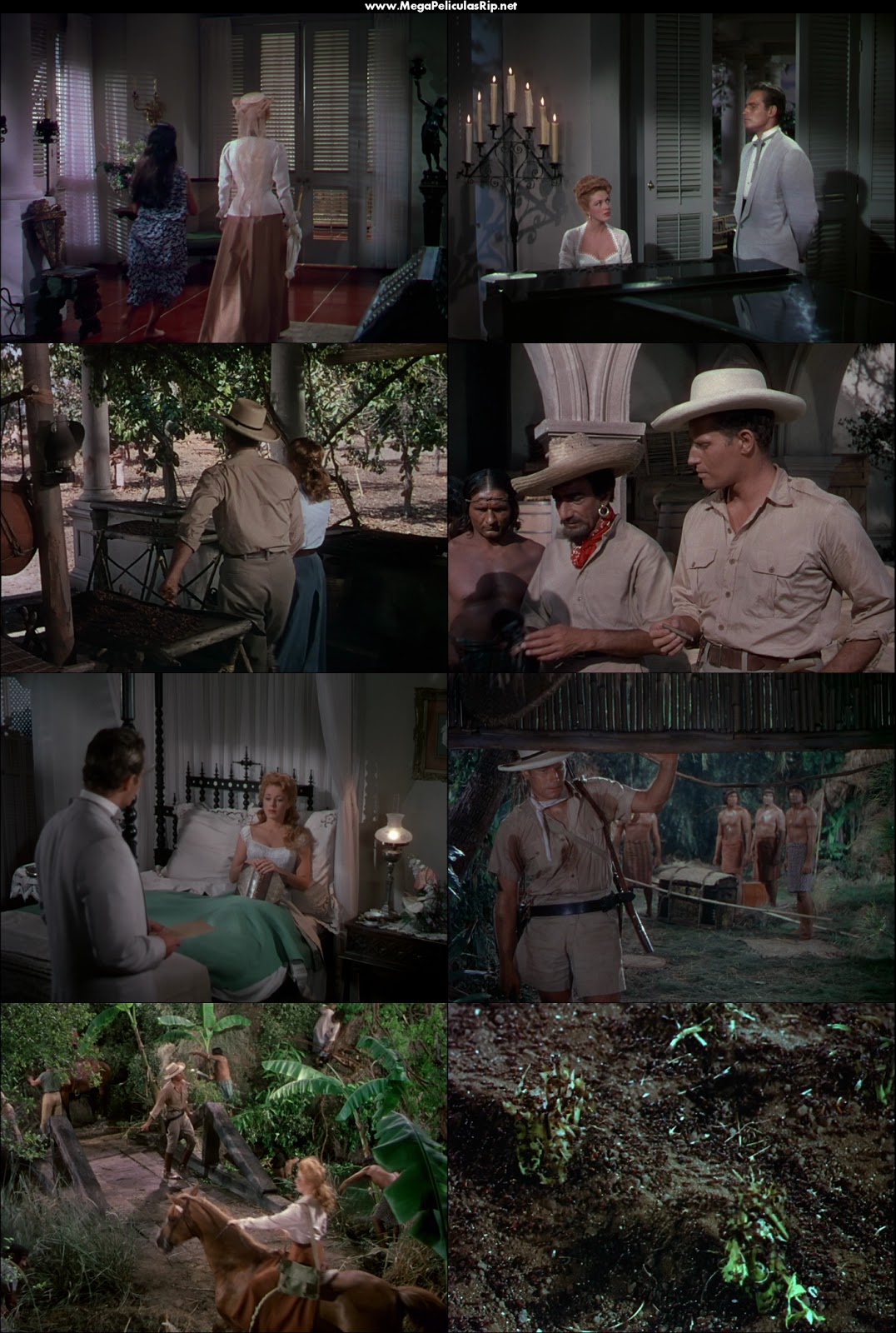 Marabunta 1080p Latino