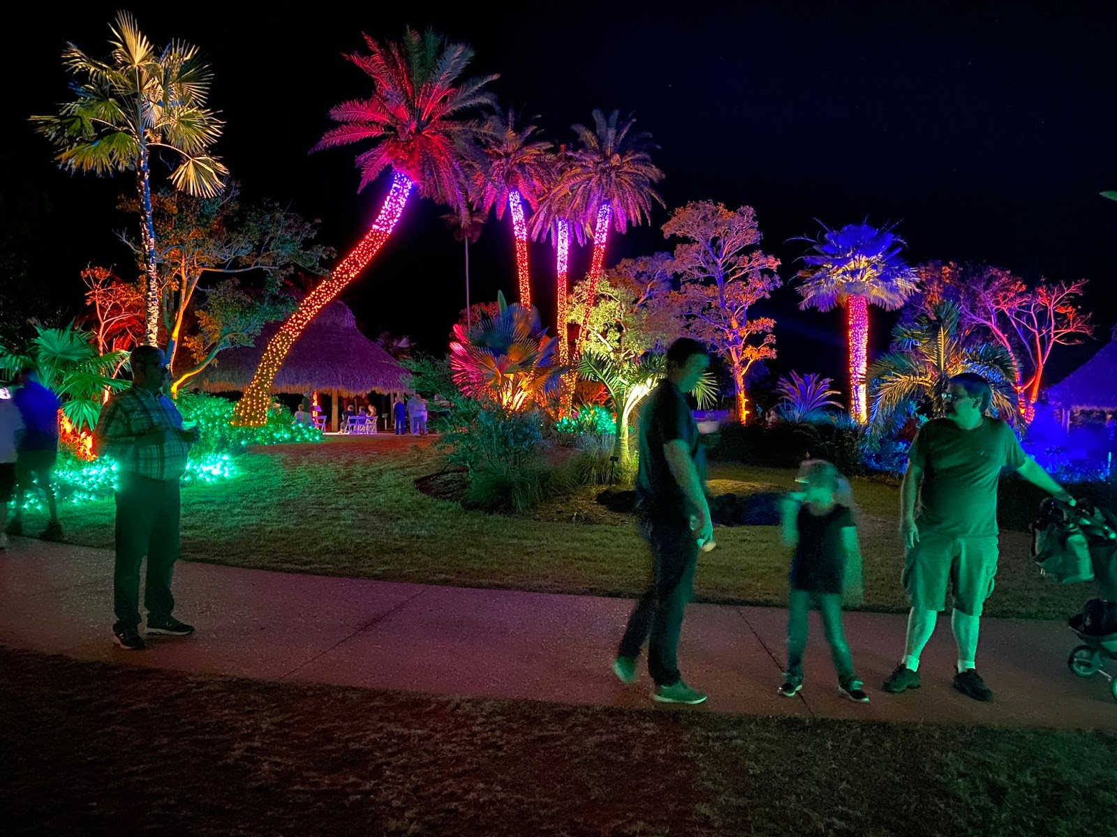 Southwest Daily Images Night Lights at the Naples Botanical Gardens