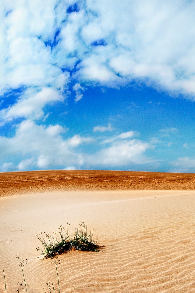 desert - Download iPhone,iPod Touch,Android Wallpapers, Backgrounds,Themes