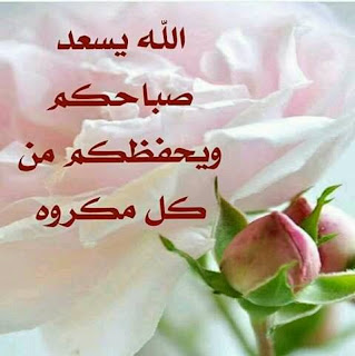 صور صباح الخير صور صباح الخير ، الله يسعد صباحكم ويحفظكم من كل مكروه