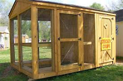 chicken coop coops designs tips build building perfect cheap plans blueprints unique