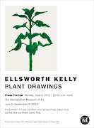 1 Ellsworth Kelly dibujos de plantas en el MET New York (met)