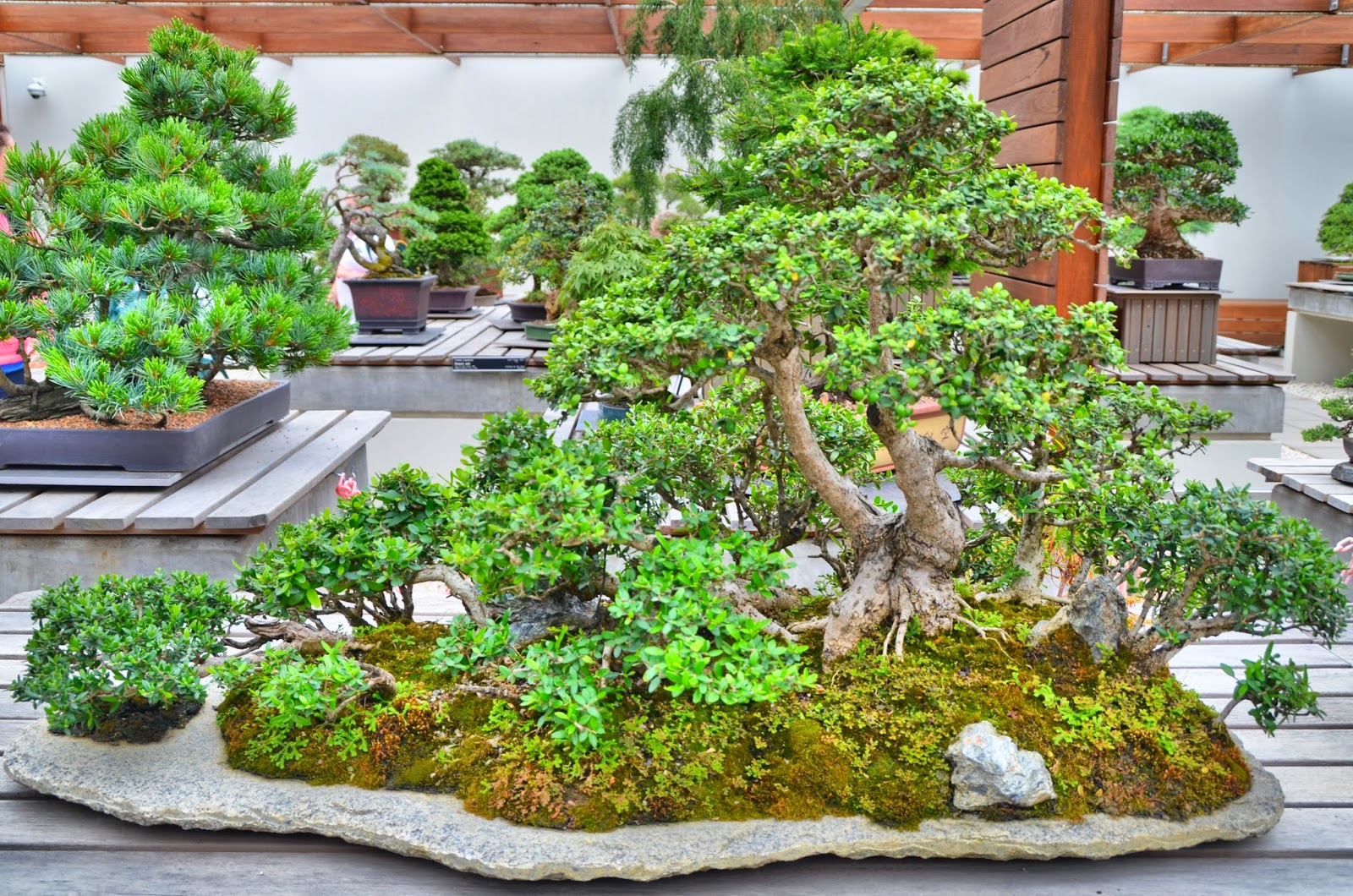 National Arboretum Canberra