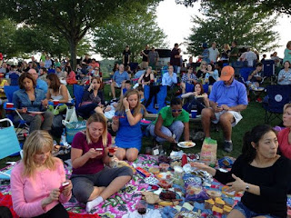 Twilight polo picnic