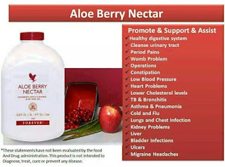 Aloe Berry Nectar