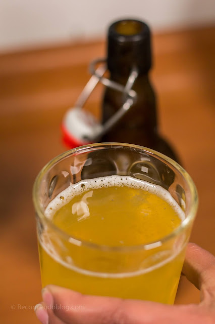 kombucha hecha en casa