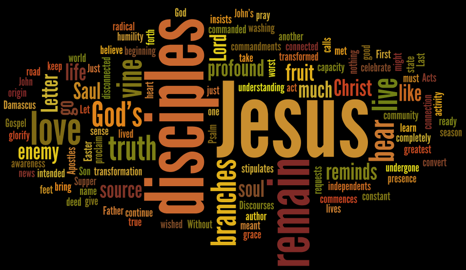 Our Lady of Mount Carmel, Mill Valley Sunday Gospel Reflection, April 29, 2018 I am the vine