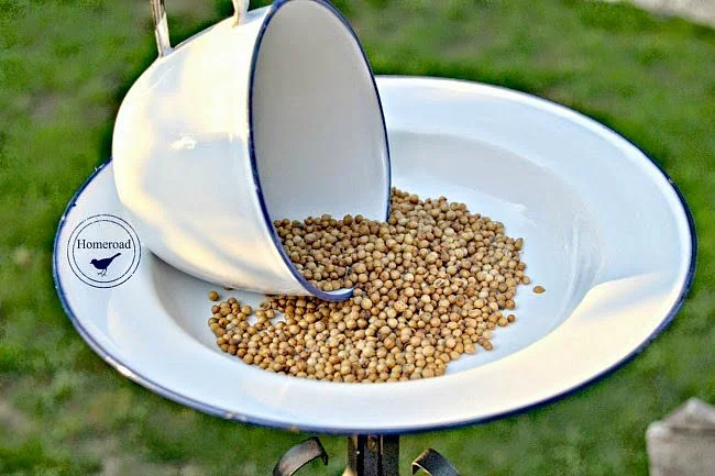 Enamelware Tea Cup Bird Feeder