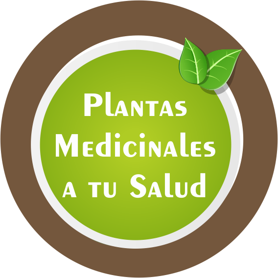 Plantas Medicinales A Tu Salud Junio 2015