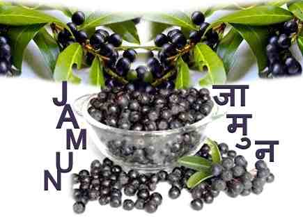 Jamun for "Diabetes"