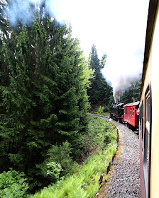 04 09 2015 Potsdam Landtag Wandervogel