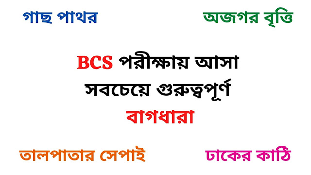 Most Important Bangla Bagdhara For BCS - BCS Preparation