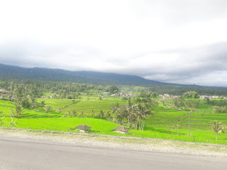 Jatiluwih Bali Jatiluwih Bali