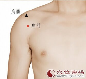 肩前穴位 | 肩前穴痛位置 - 穴道按摩經絡圖解 | Source:xueweitu.iiyun.com