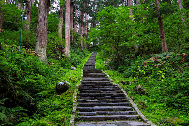 #photo #landscape #sigma #foveon #sdquattroh #japan #yamagata #tsuruoka #山形県 #鶴岡市 #山形帝國 #写真 #風景写真