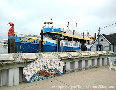Sightseer Whale and Dolphin Cruises in Wildwood, New Jersey