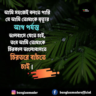 Bangla Shayari | Love quotes in Bengali