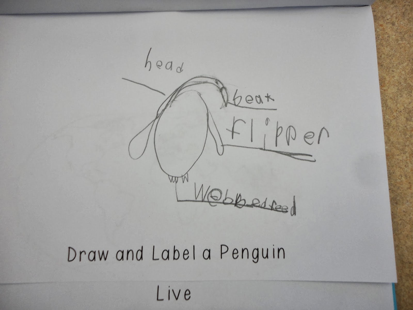 A Very Curious Class: Penguin Habitats