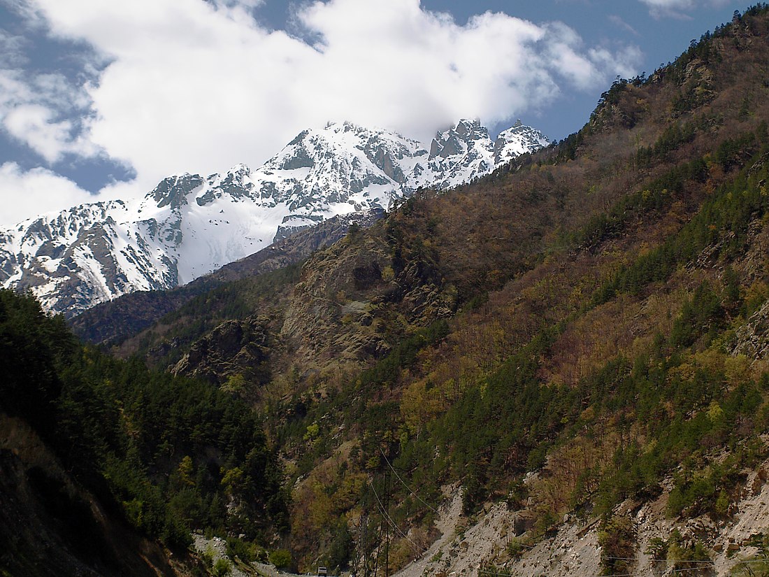 цейское ущелье заказник. цейский заказник северная осетия. высокогорный северо осетинский заповедник. заповедники северной осетии. осетинский заповедник.