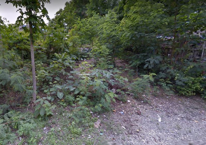 Lots For Sale in Bohol Philippines 280 sqm Lot for Sale in Tagbilaran