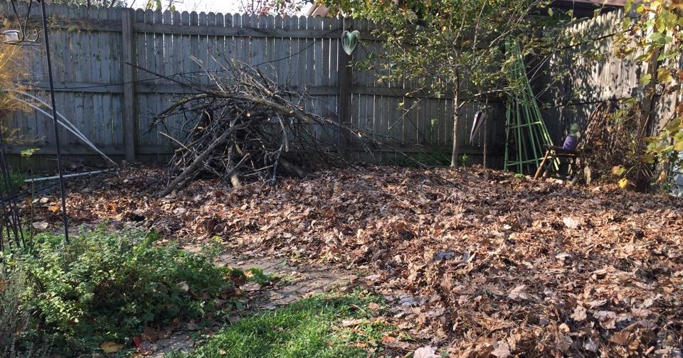 The Natural Naturalist Building a brush pile