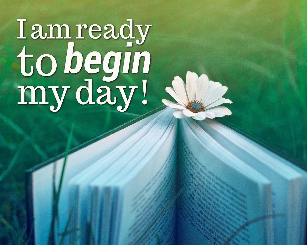 Exam Affirmations Everyday Affirmations Exam Affirmations Everyday Affirmations