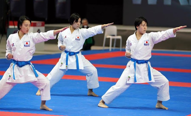 Mengenal Olahraga Karate, Aliran dan tehniknya - Gurumapel.com | Web