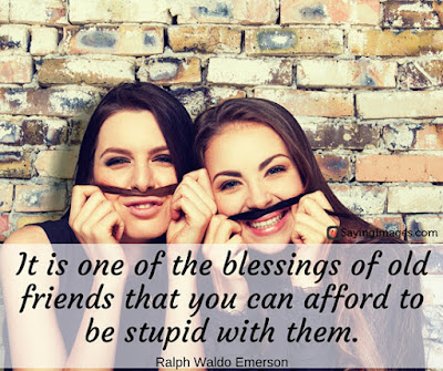 Famous Quotes About Friendship 