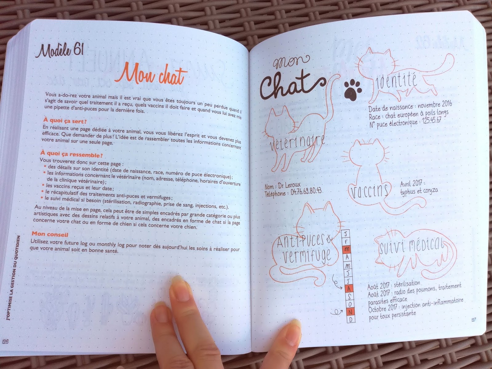 Bullet Journal pré rempli: Daté - Bullet Agenda à illustrer