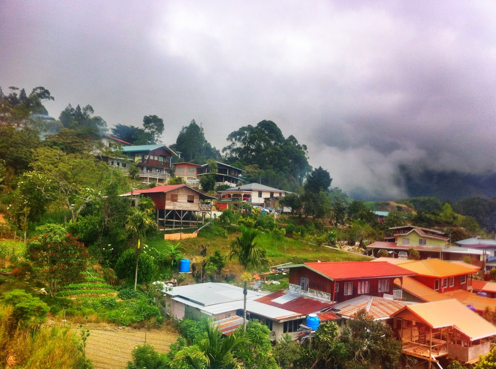 Everything About Wood View of a farming village at Kundasang