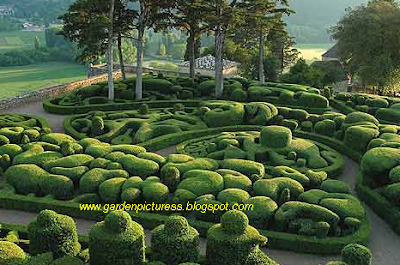 French Formal Garden