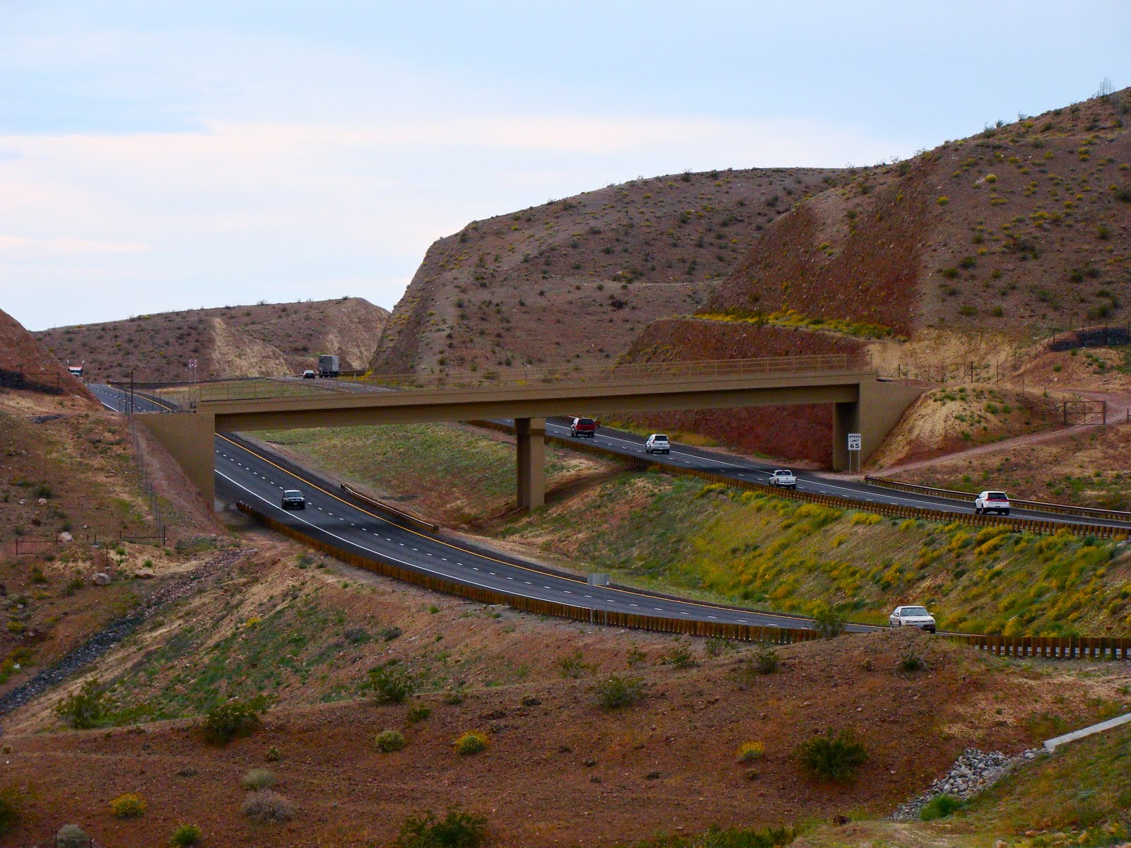 Scottsdale Daily Photo Photo Animal Bridge at Hoover Dam
