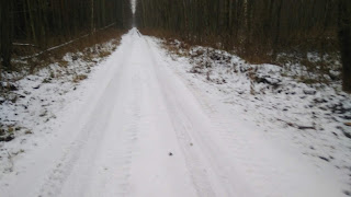 ПВД3Д - Мещёра: Черусти-Спасск Рязанский, через Голованово