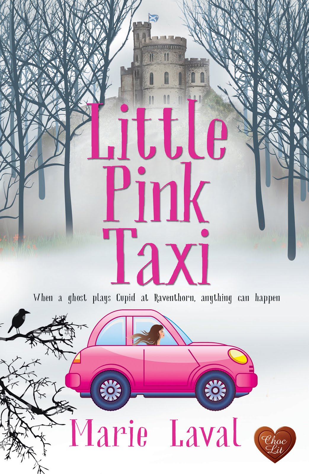 Little Pink Taxi