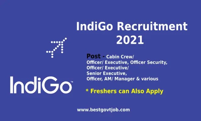 Indigo customer service image