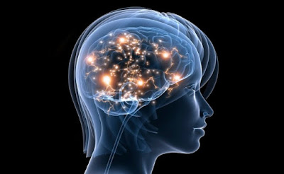brain supplement reviews